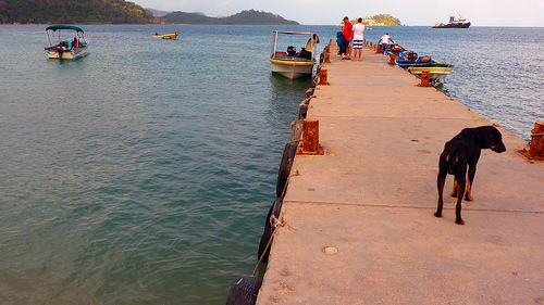 Doca em Portobelo